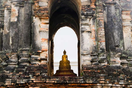 Macro photo beautiful pink Alcea flower  in Thailandの写真素材