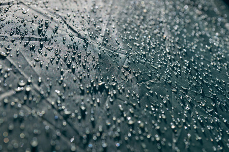 The surface of the fabric tent with dew dropsの写真素材