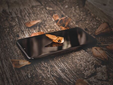 Autumn leaf on a mobile phone, wooden textureの写真素材