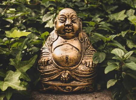 The Buddha statue in greeneryの写真素材
