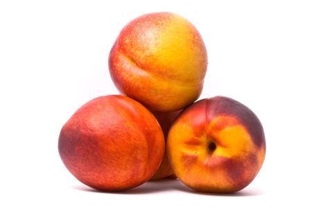 Juicy nectarines on a white backgroundの写真素材