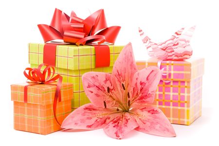 Pink lily and gift boxes on a white backgroundの写真素材