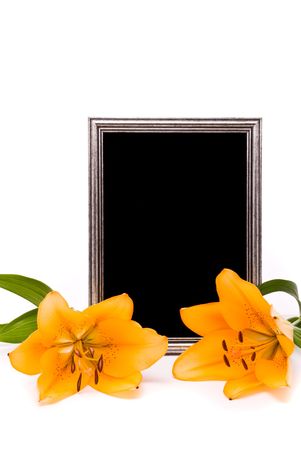 Yellow lilies and silver frame on a white backgroundの写真素材
