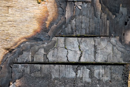 The scorched wooden background. 
の写真素材