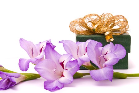 Beautiful gladiolus and gift box on a white background. の写真素材