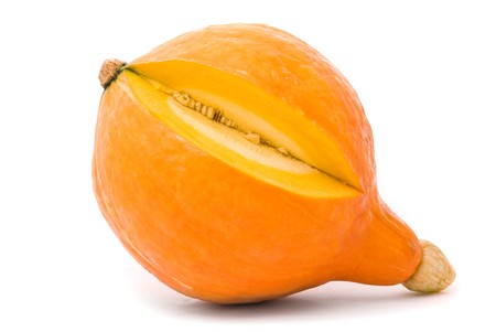 Pumpkin on a white backgroundの写真素材