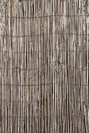 Bamboo wood background