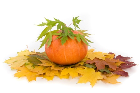 Pumpkin with fall leaves on white backgroundの写真素材