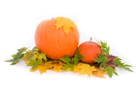 Pumpkins with fall leaves on white backgroundの写真素材