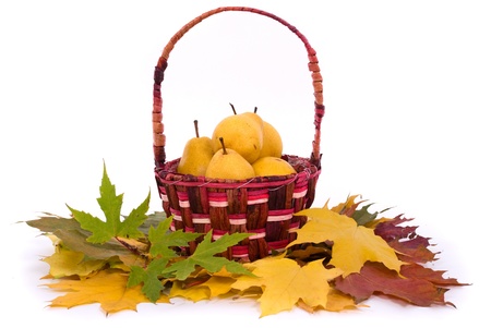 Ripe pears in a basket on a white backgroundの写真素材