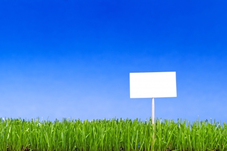Blank white sing on neatly trimmed green grass against a blue background.の写真素材