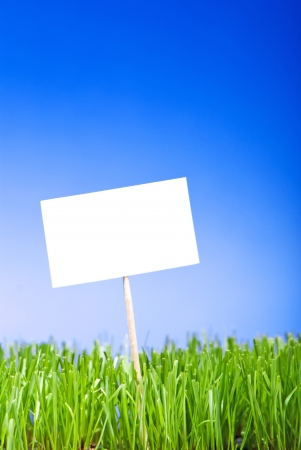 Blank white sing on neatly trimmed green grass against a blue background.の写真素材