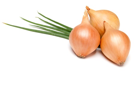 Fresh bulbs of onion on a white backgroundの写真素材