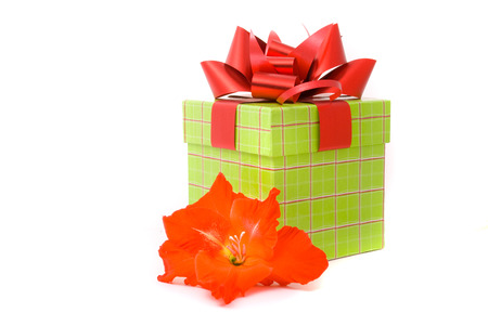Beautiful gladiolus and gift box on a white background.の写真素材