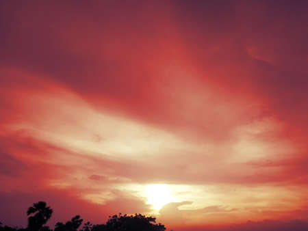 Beautiful Dramatic View Of Nature In Evening Stock Photosの写真素材