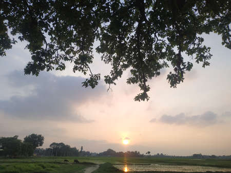 Evening sunset view stock photos. this photo is taken in india.の写真素材