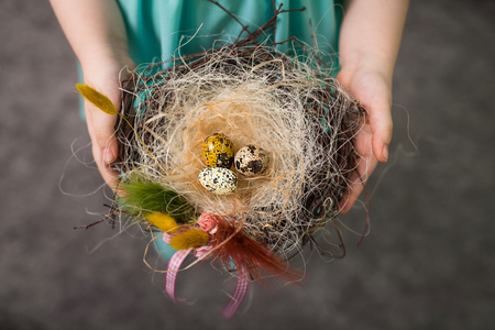 Children make a nest for birds, bird eggsの写真素材