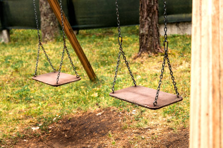 Swing in a forest parkの写真素材