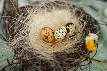 Birds nest is made of tree branches. Bird eggs lie in the nest. Handmade nest made by children, Easter craftsの写真素材