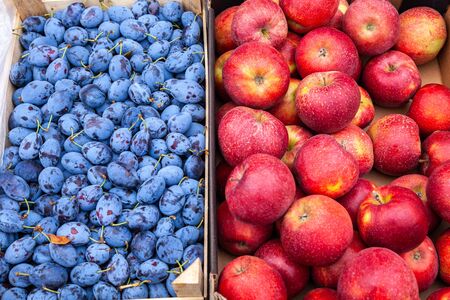 Fresh farmers apples and plums at local outdoor market. Healthy food background. Delicious, ripe and juicy plum and apples on sale at local farmers marketの写真素材