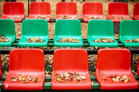 Empty sports grandstand in the leaves in the fall. Yellow leaves lie on a seat of a tribune. Plastic...