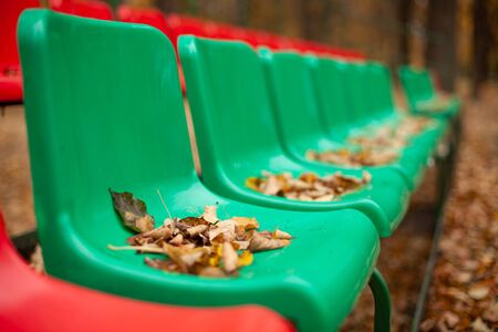 Empty sports grandstand in the leaves in the fall. Yellow leaves lie on a seat of a tribune. Plastic seats required are covered with tree foliage in the fall.の写真素材