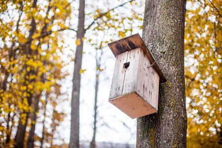 Birdhouse on the tree. Shelter for birds. A house on a tree.の写真素材