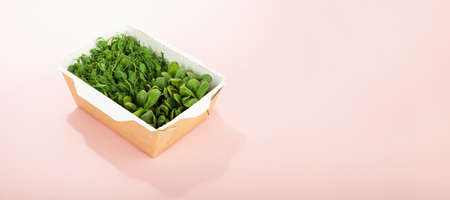 Microgreens in a disposable eco paper box of sunflower seeds. Idea for a healthy vegan food delivery service. green microgreen advertising. Micro greens in a basket on a pink backgroundの写真素材