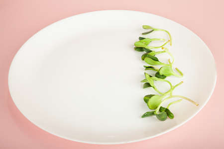 Micro greens on a white plate. Microgreen sunflower seed. Healthy food concept from fresh garden products grown organically. Symbol of health Vitamins from nature.の写真素材
