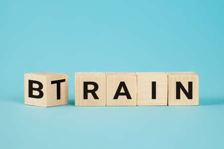 Train Your Brain. Turns a cube and changes the word train to brain on wooden cubes. Dice form the words train and brain. Business and train your brain concept.の写真素材