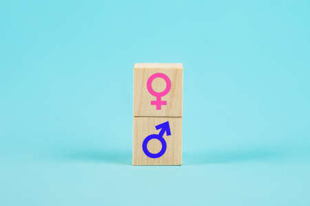 Male and female symbols. Pink and blue female and male signs. Gender equality conceptual image, the...