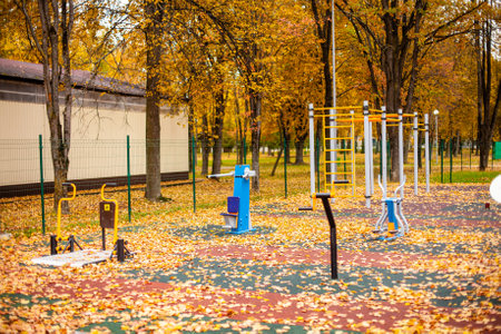 Outdoor sports simulator in autumnの写真素材
