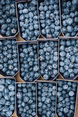 Fresh blueberries in paper containers at a farmers market. Organic blue berries. Ideal for food photography, organic produce, healthy eating visuals, and summer fruit promotionsの写真素材