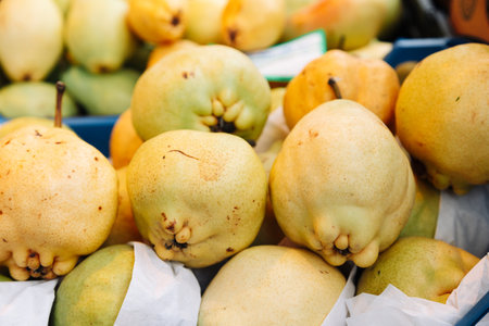 Fresh organic quinces with natural imperfections and rough textures at a farmers market. Ideal for food photography, healthy eating, organic produce, and autumn fruit visualsの写真素材