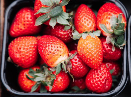 Fresh ripe strawberries in a black plastic container. Sweet and juicy berries. Perfect for food photography, organic produce, healthy eating concepts, and fruit market visualsの写真素材