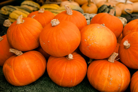 Fresh orange pumpkins stacked together at a market stall, symbolizing seasonal harvest, organic farming, cooking ingredient and healthy vegetables for autumn nutrition visuals.の写真素材
