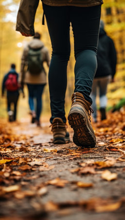 Group of people walking through forest trail covered in colorful autumn leaves, symbolizing exploration, togetherness, and outdoor adventure. Ideal for travel, lifestyle, or seasonal projects.の素材