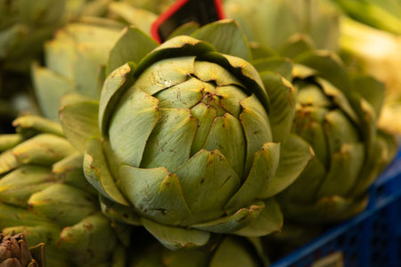 Fresh green artichoke photographed closeup at a market stall, symbolizing organic farming, healthy vegetable nutrition, seasonal harvest and natural plant based food concepts.の写真素材