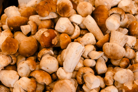 Fresh porcini mushrooms stacked together at a market stall, symbolizing forest harvest, organic food, seasonal cooking ingredients and healthy natural diet visuals.の写真素材