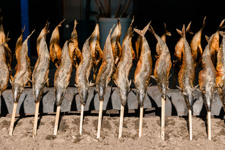 Traditional grilled fish skewers roasting outdoors over open fire, symbolizing authentic cuisine and rustic cooking culture. Ideal for food, travel, or editorial use.の写真素材
