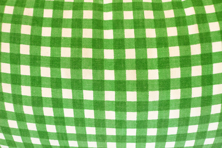 Green Checkered Gingham