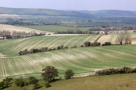 landscape of the south downs, england