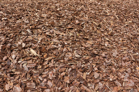 Close up of wood chipsの写真素材