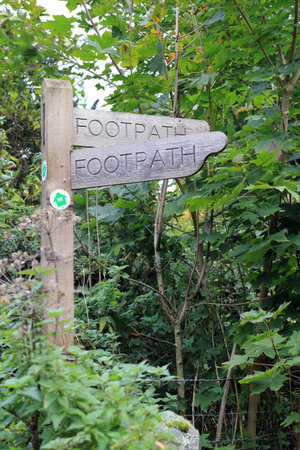 Alresford, Hampshire, England - October 7 2022: A wooden signpost in the woods pointing to the Wayfarers Wayのeditorial素材