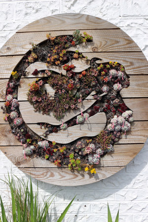 Floral wooden succulent display in the shape of a mermaid at the Isle of Wight Distillery, Pondwell, Isle of Wight, England - May 11 2023のeditorial素材