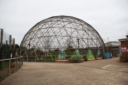 Sandown, Isle of Wight, UK - May 13 2024:  Lemur Dome at The Wildheart Animal Sanctuary.のeditorial素材