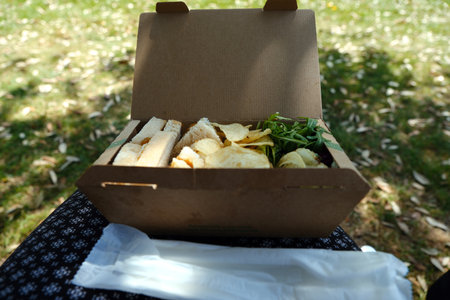 Cardboard picnic box with sandwich, crisps and salad outside in a sunny park outdoor settingの写真素材