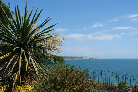 Coastline of the Isle of Wight. View east from Shanklin.の写真素材
