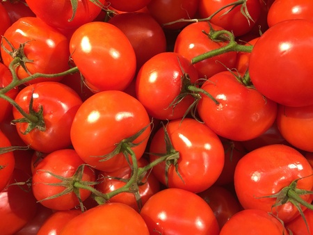 Fresh bunch of tomatoesの素材