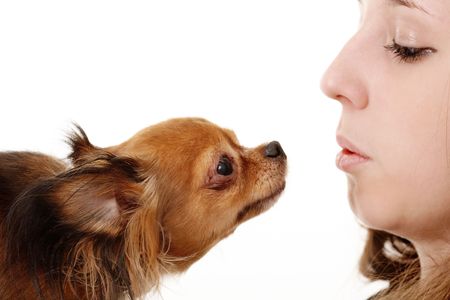 girl blows on the dog. Side view. Close-up.の写真素材